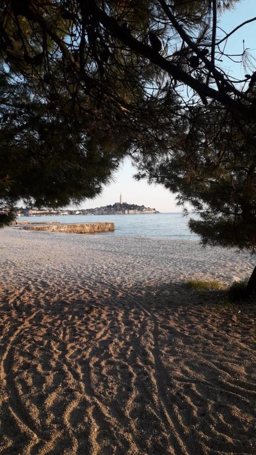 Family Zrnka Apartment Rovinj